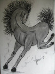 Paarden bokken ook
